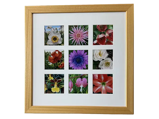 Custom frame with custom matting